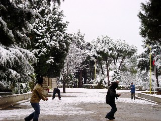 Snowball Fun