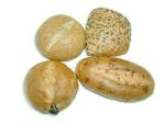 Bread Rolls