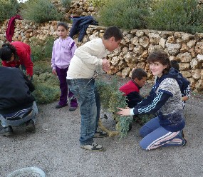 Advent 2009 in JLSS