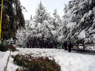 Snow Storm 2008 