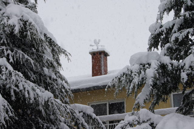 Snowstorm 29 February 2012