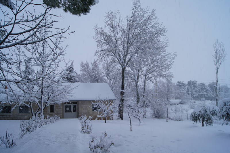 Snowstorm 29 February 2012